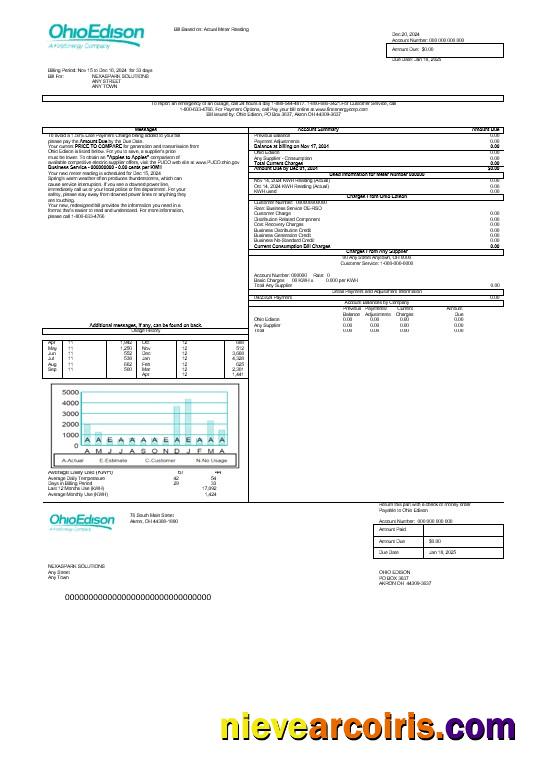USA Ohio Edison business utility bill